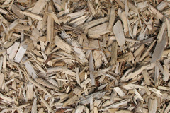 biomass boilers Calton