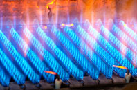Calton gas fired boilers